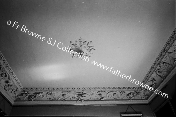 MALAHIDE CASTLE CEILING OF MORNING ROOM